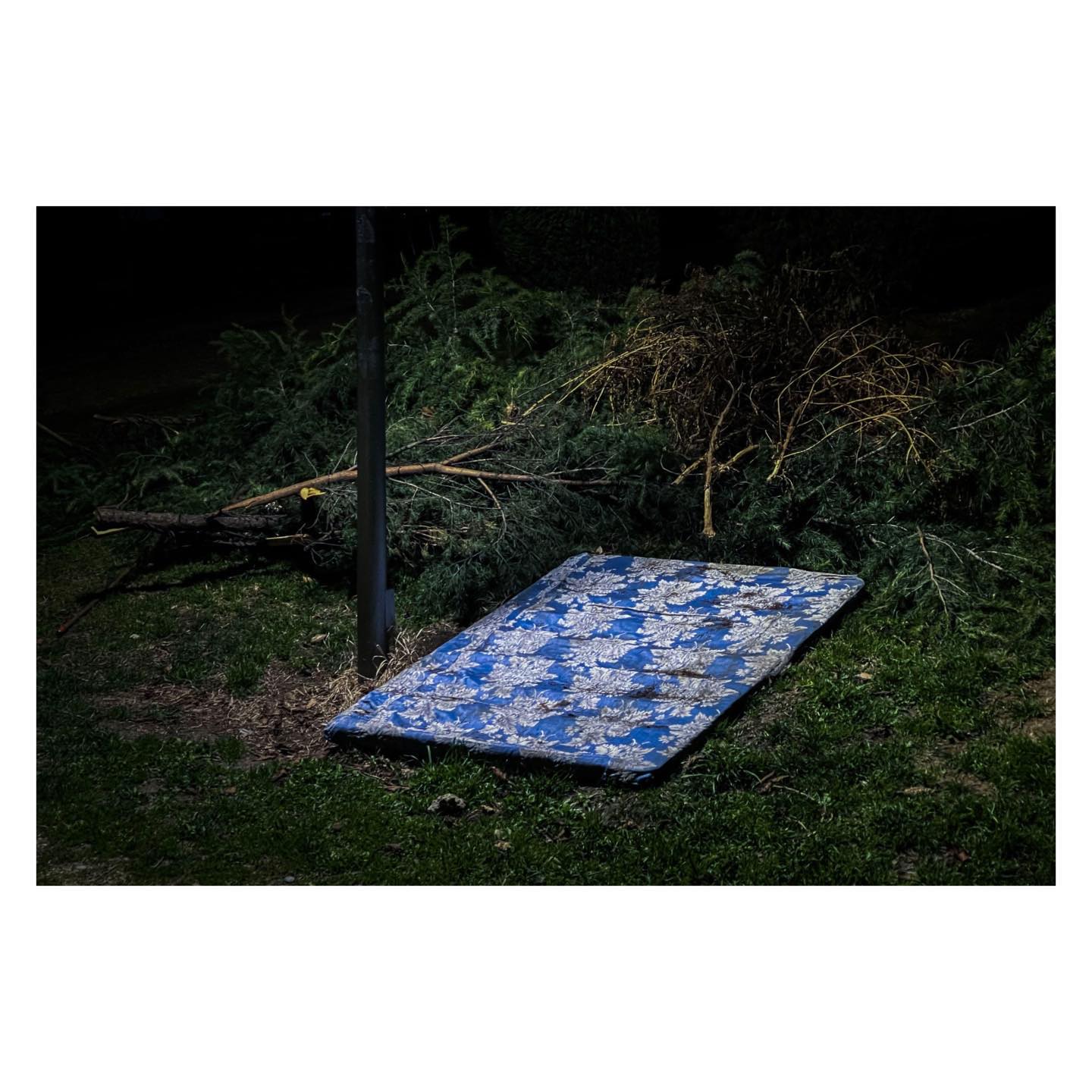 Paseante 001