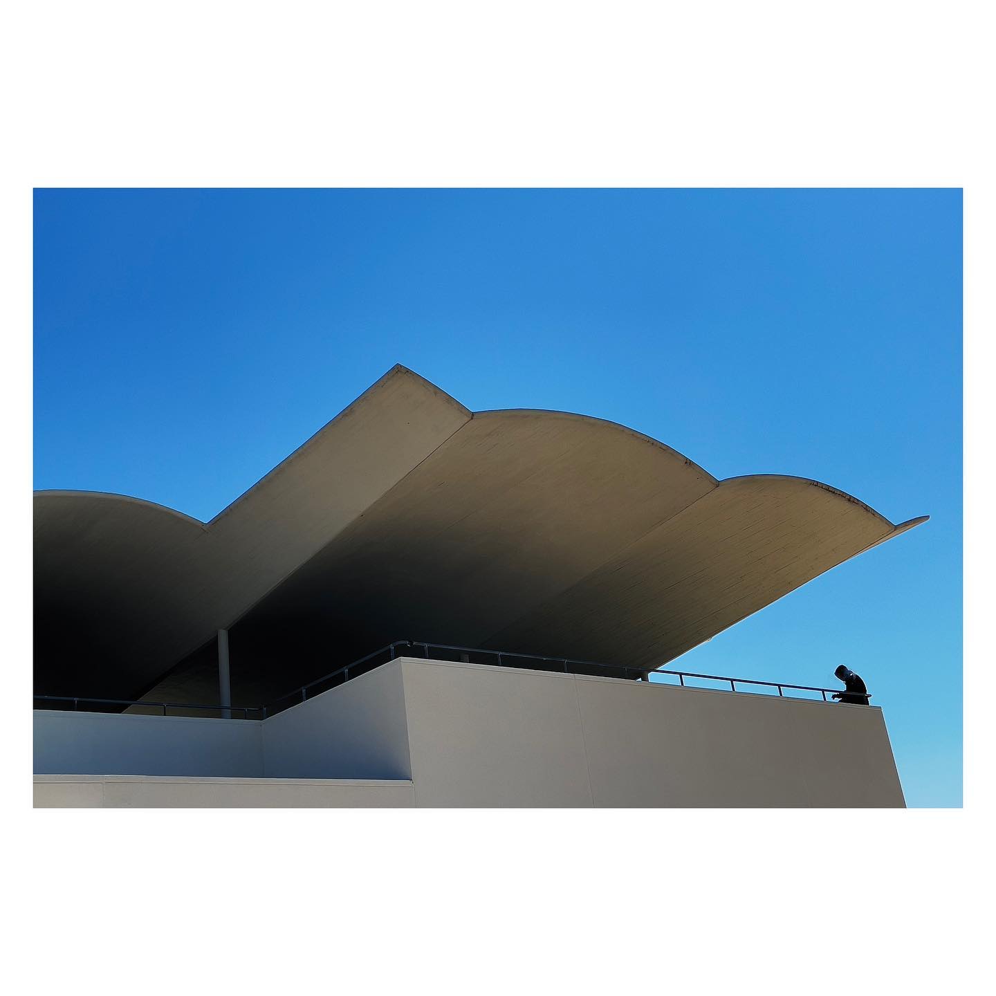 Paseante 006