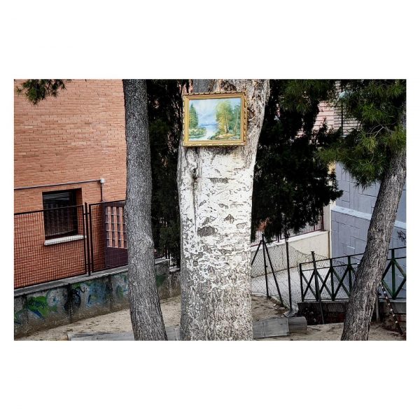 Paseante 008
