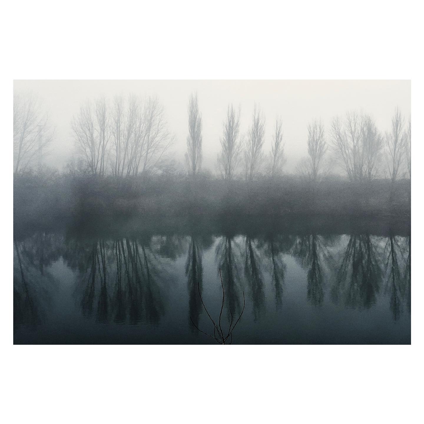 Paseante 014
