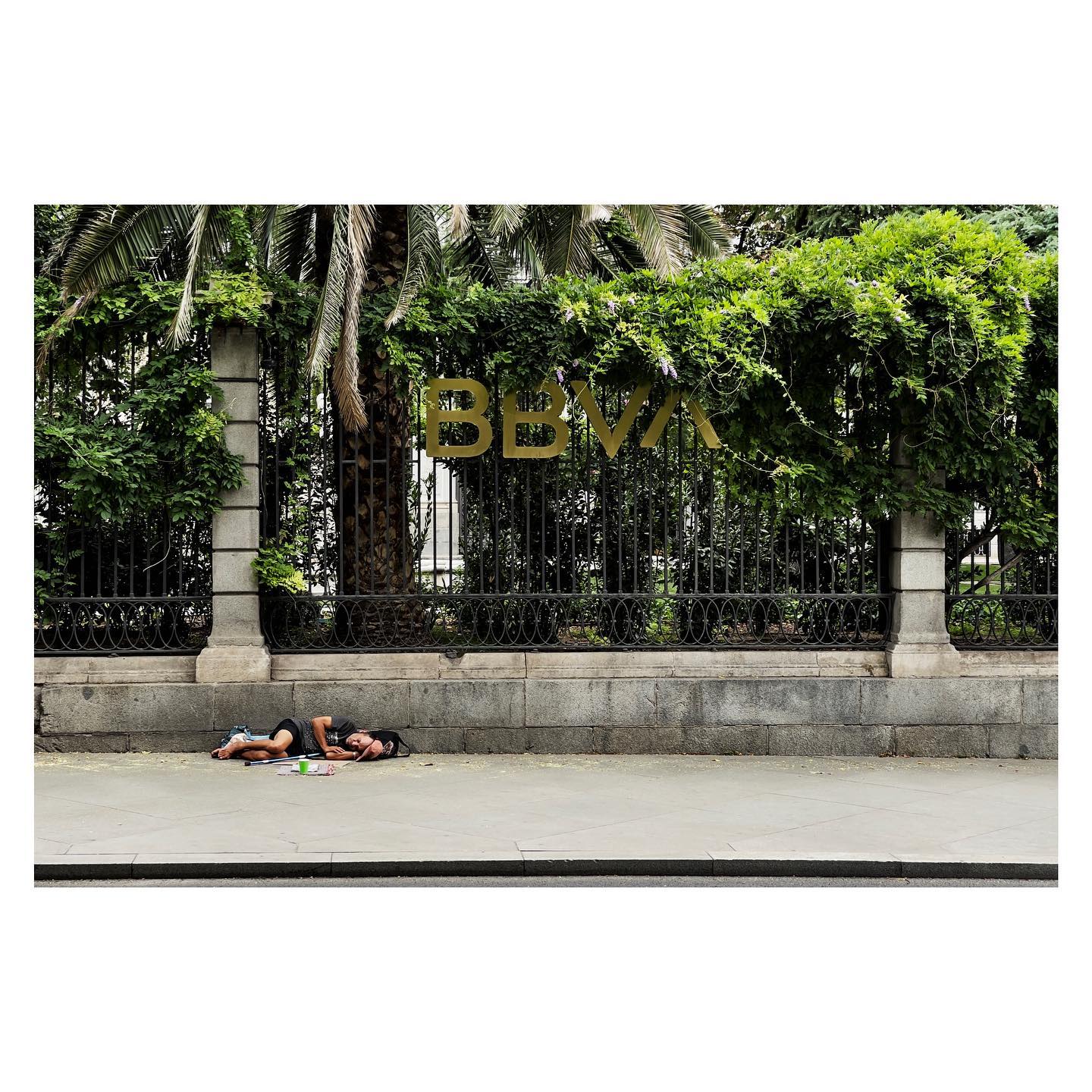 Paseante 021