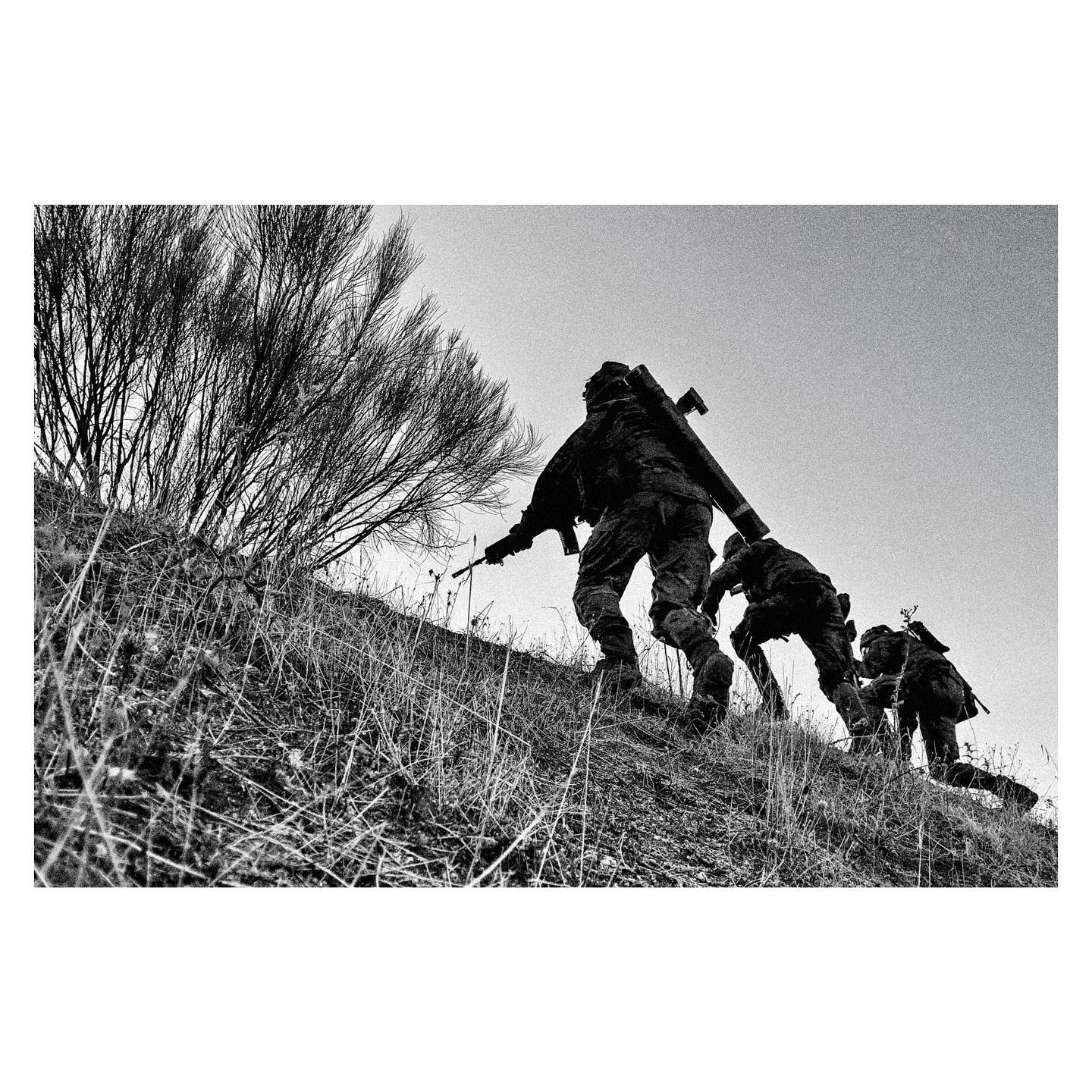 Paseante 028
