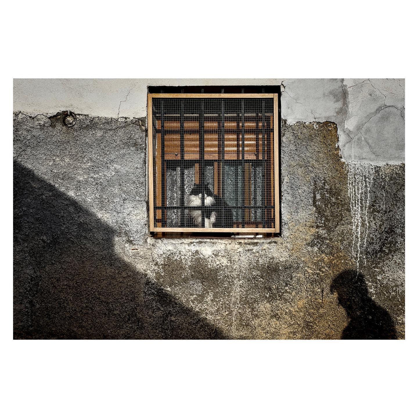 Paseante 036