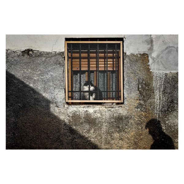 Paseante 036