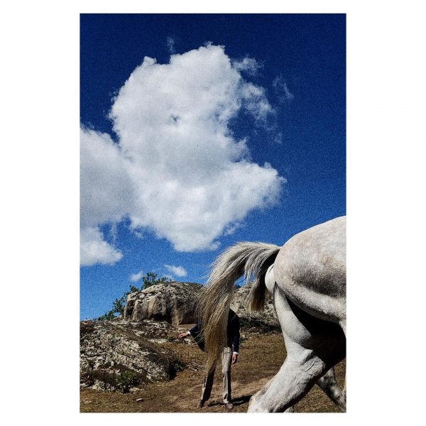 Paseante 041