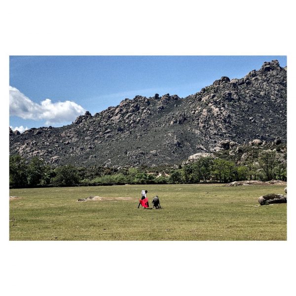 Paseante 044