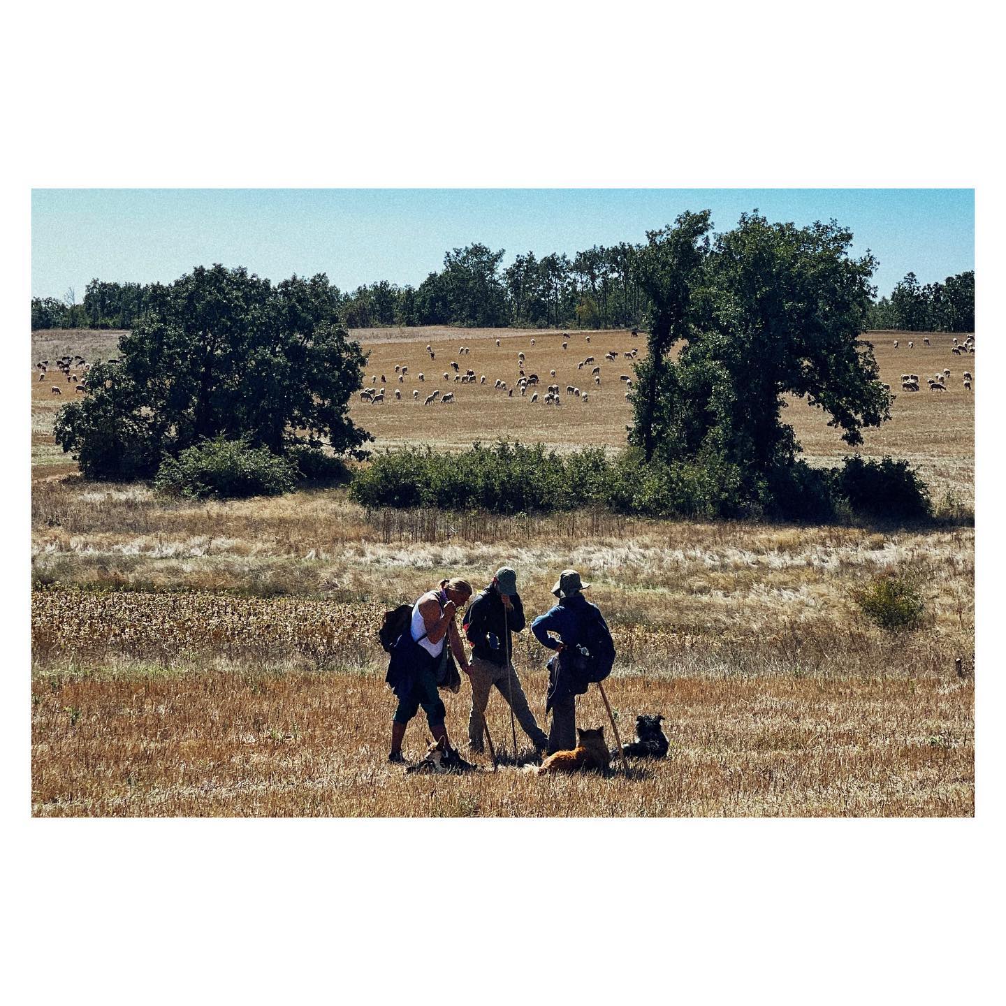 Paseante 050
