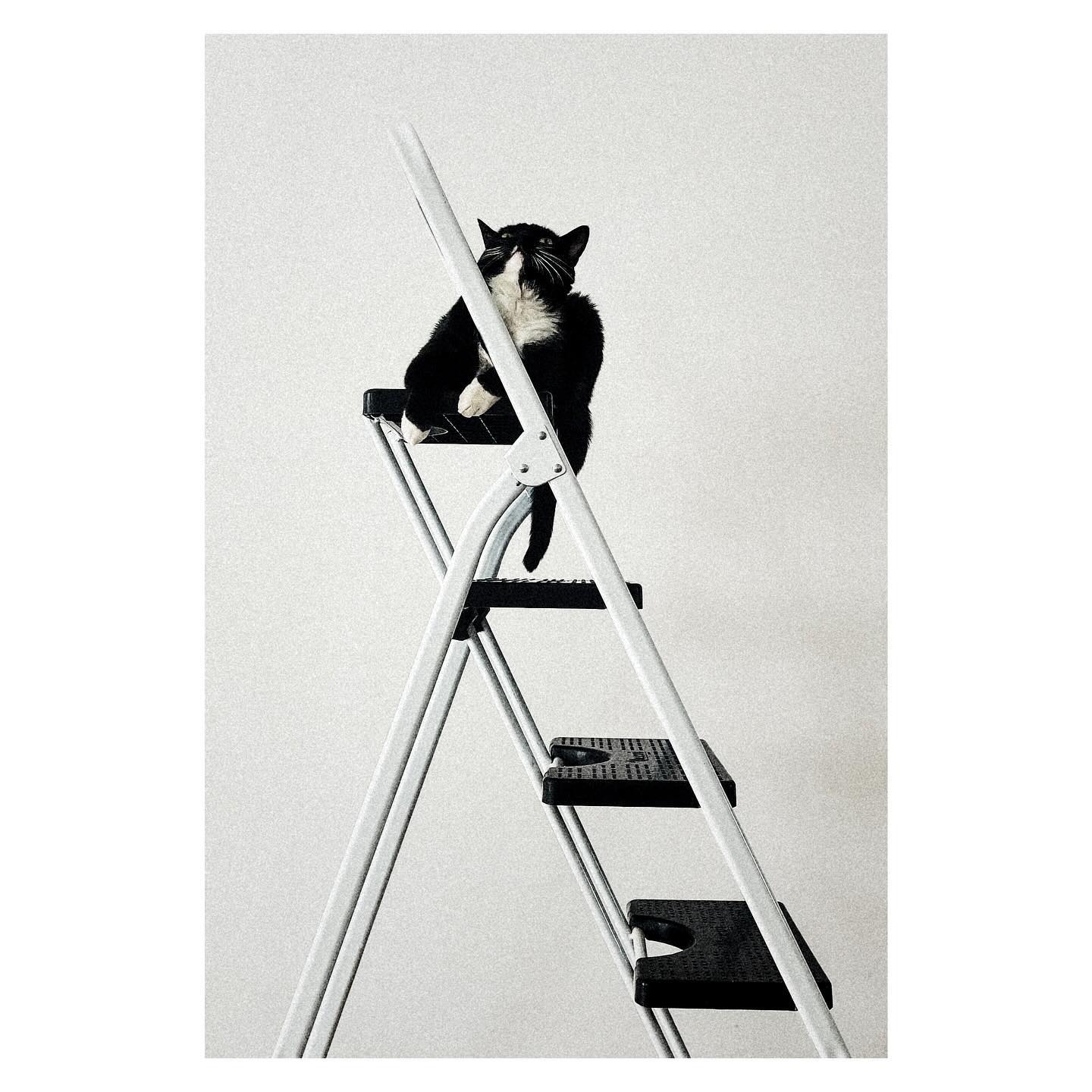 Paseante 056