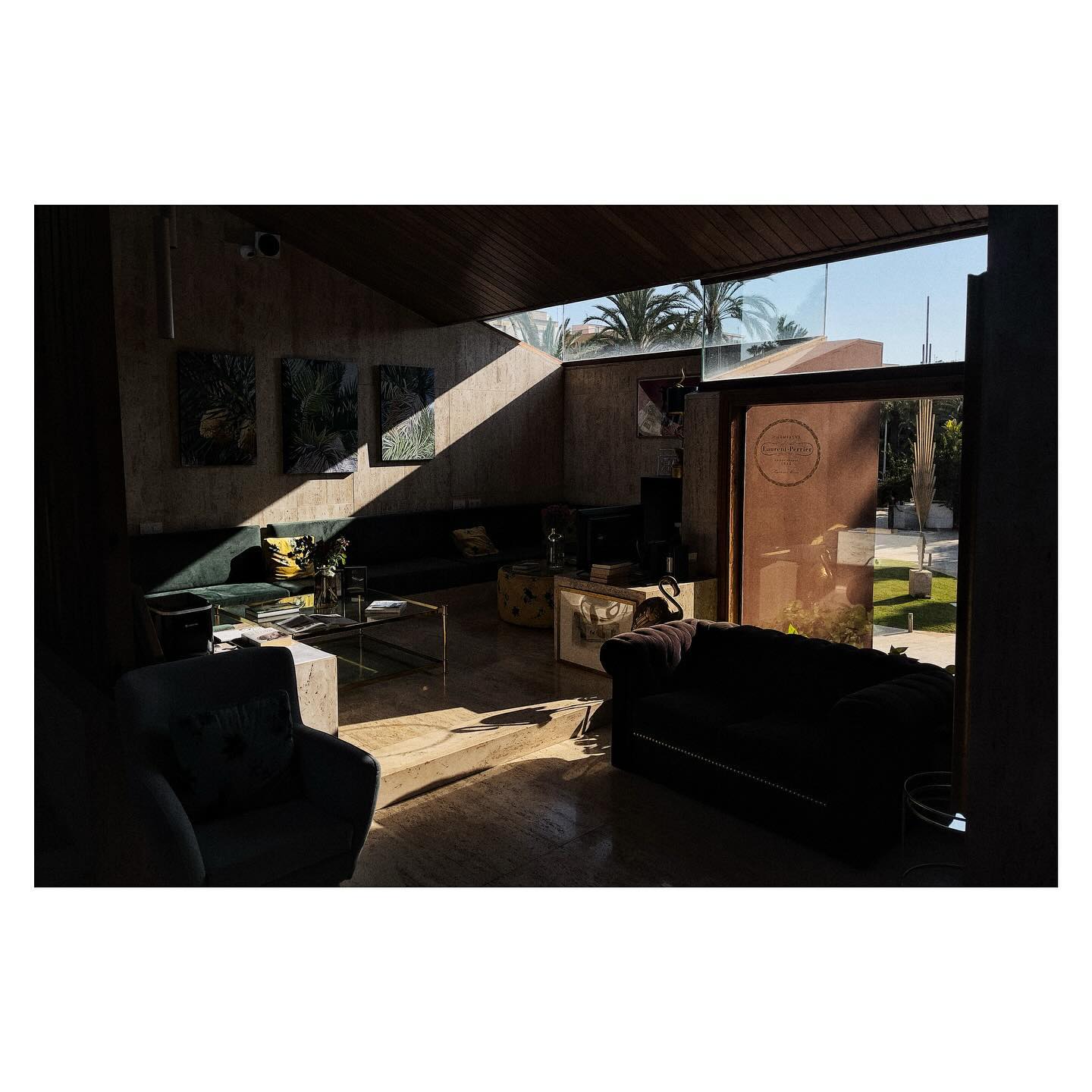 Paseante 066