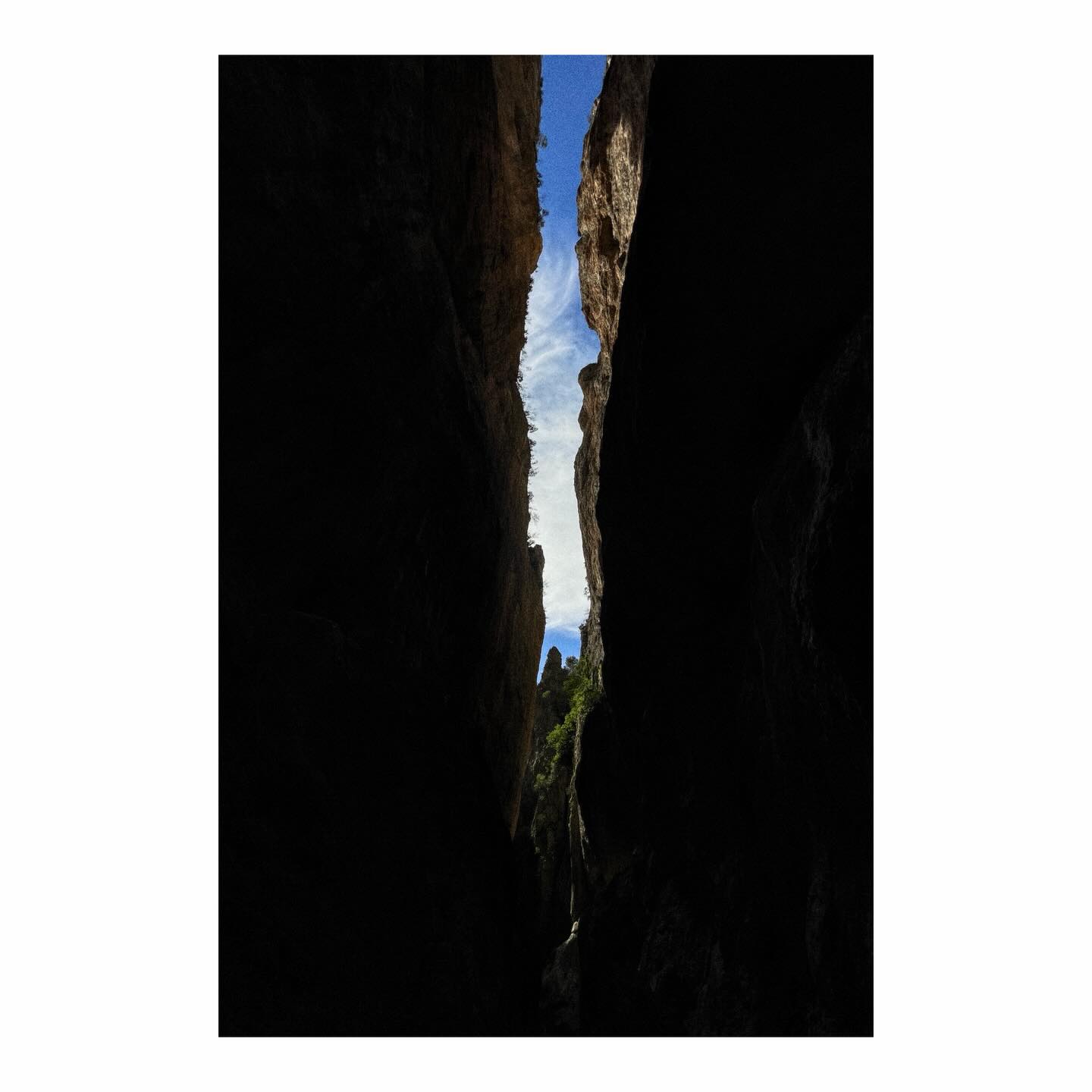 Paseante 074