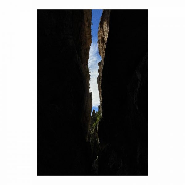 Paseante 074