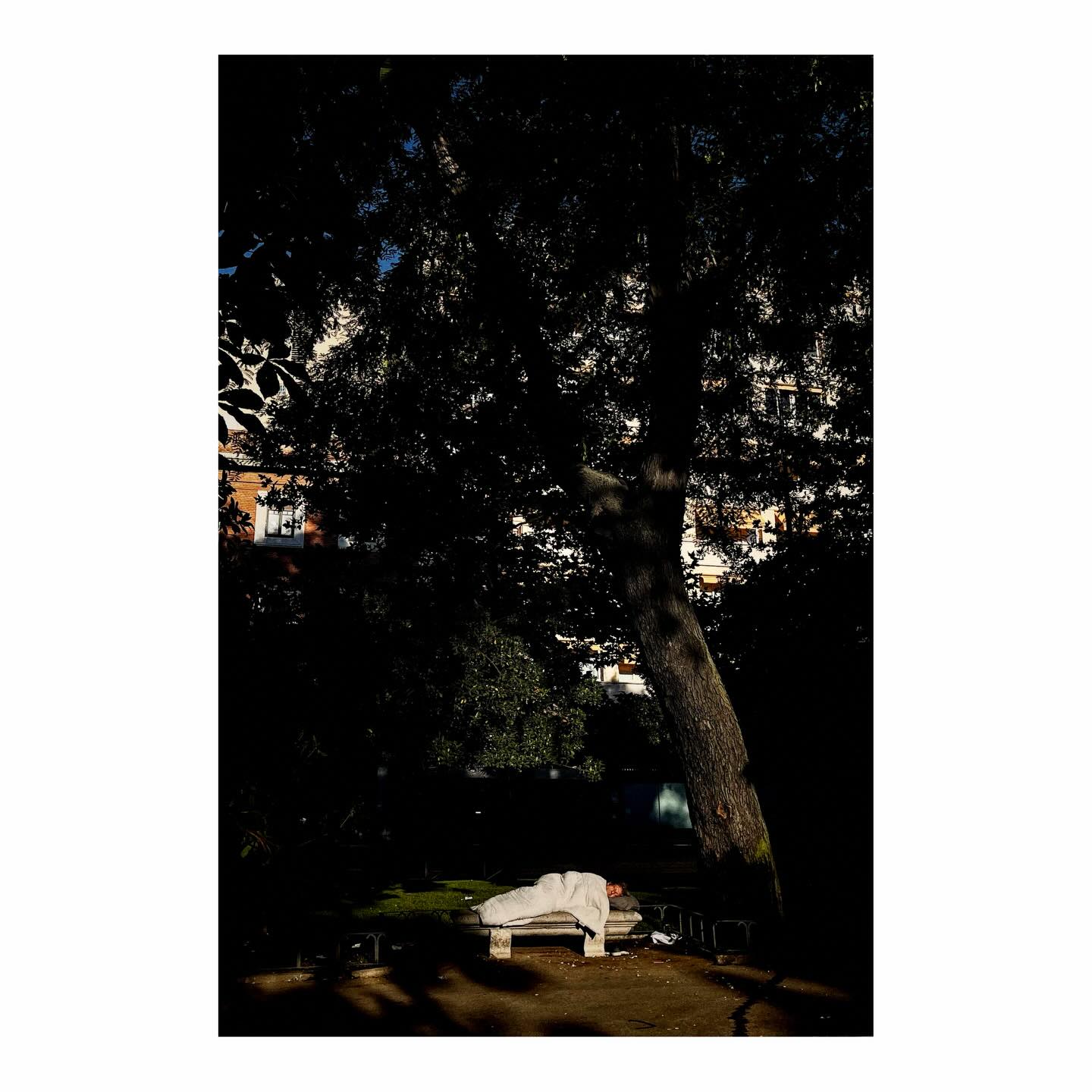 Paseante 078