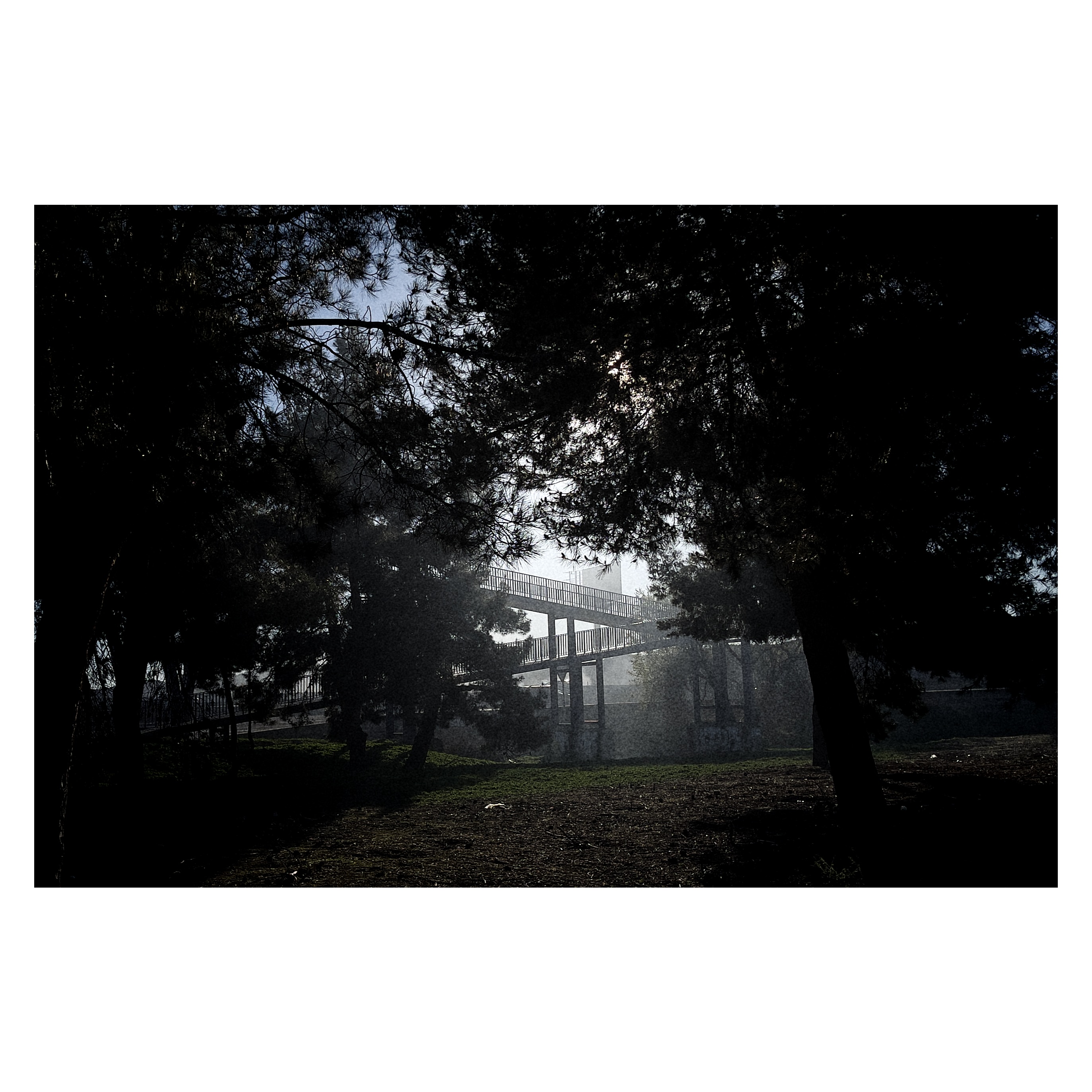 Paseante 083