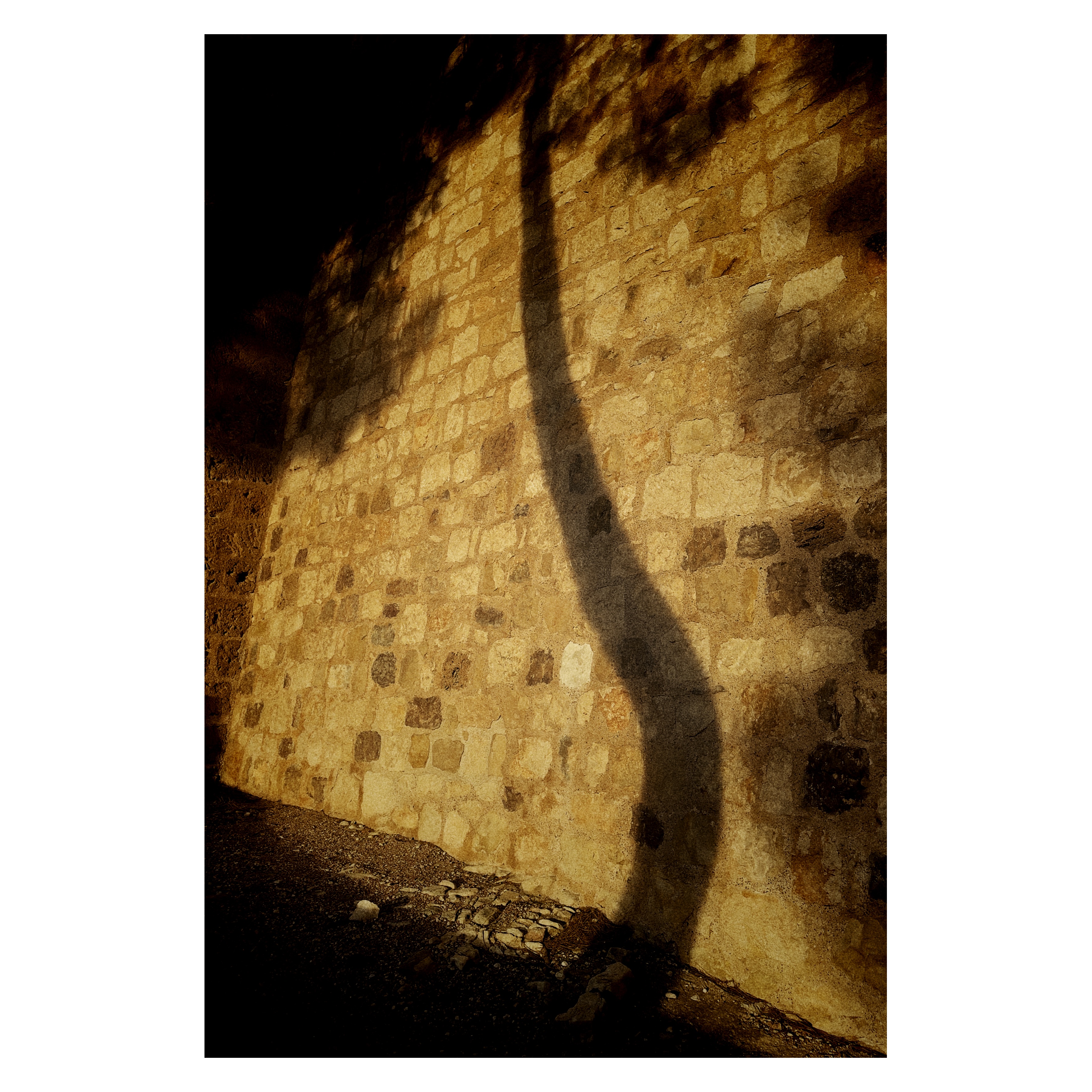 Paseante 084